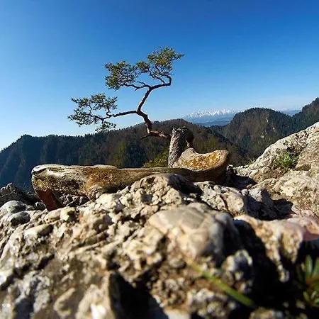 Pieniny House