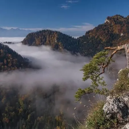 Pieniny House Nyaraló Erdős